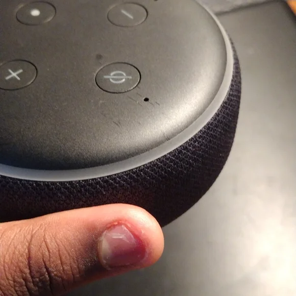 Alexa - Picture 2 of 4